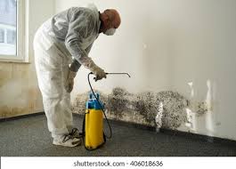 Best Mold Prevention Services  in Lliams Bay, WI